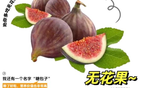 焦杏仁的功效与作用及禁忌图片-焦杏仁的功效与作用及禁忌-专业上焦杏仁 中焦蔻仁 下焦苡仁平台-焦杏仁的功效与作用及禁忌是什么