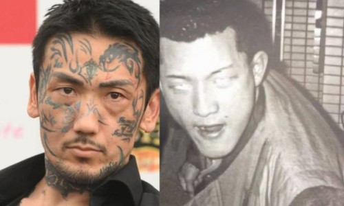焦杏仁的功效与作用及禁忌-专业上焦杏仁 中焦蔻仁 下焦苡仁平台-焦杏仁的功效与作用及禁忌是什么